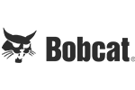 bobcat